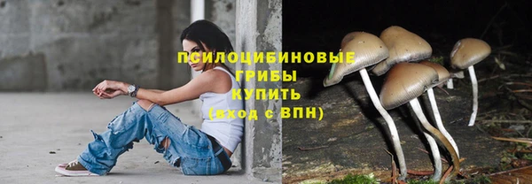 тгк Белокуриха