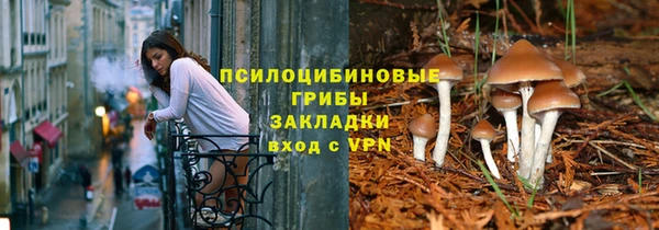 PSILOCYBIN Осинники