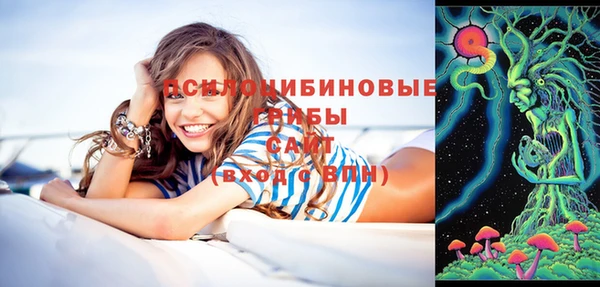 эйфоретик Беломорск