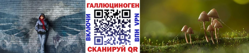 как найти   OMG ССЫЛКА  Псилоцибиновые грибы прущие грибы  Верхотурье 